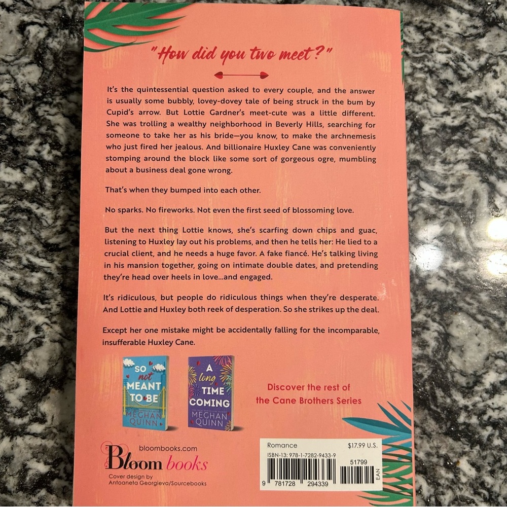 Cane Brothers Series by Meghan Quinn - Picture 3 of 8